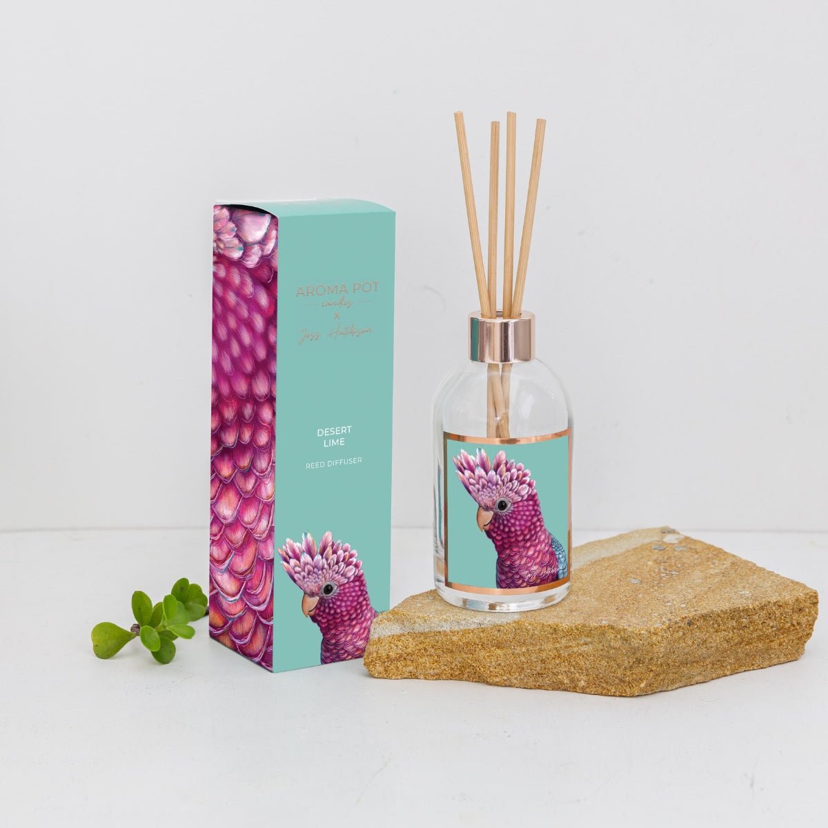 50+Hrs Soy Candle & 200ml Reed Diffuser - Desert Lime - Oldboy&