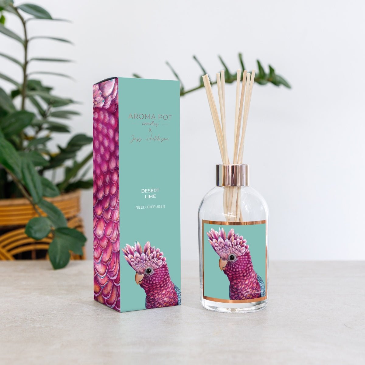 50+Hrs Soy Candle & 200ml Reed Diffuser - Desert Lime - Oldboy&