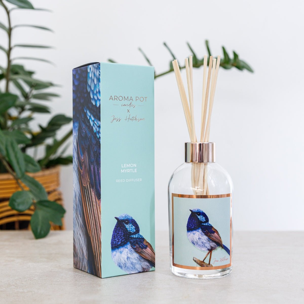 50+Hrs Soy Candle & 200ml Reed Diffuser - Lemon Myrtle - Oldboy&