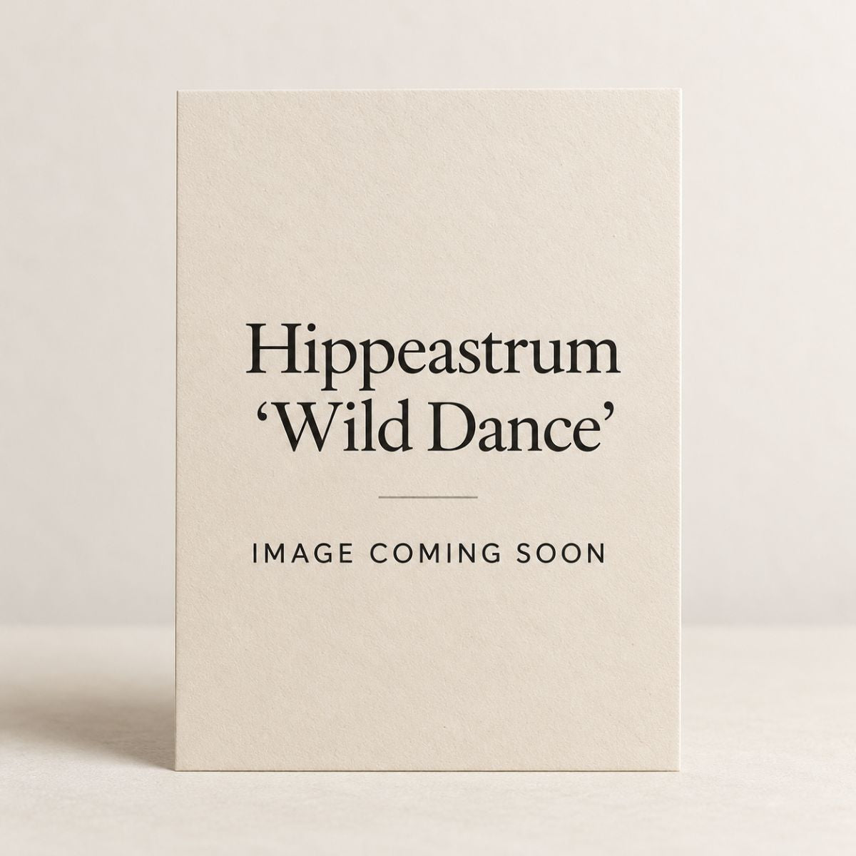 Hippeastrum ‘Wild Dance’ Bulb | Red, Pink and White Double Amaryllis