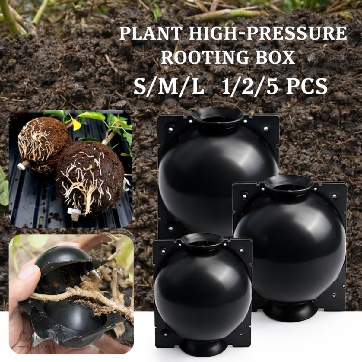 Air Layering Propagation Pods - Multiply Your Trees! - Oldboy&