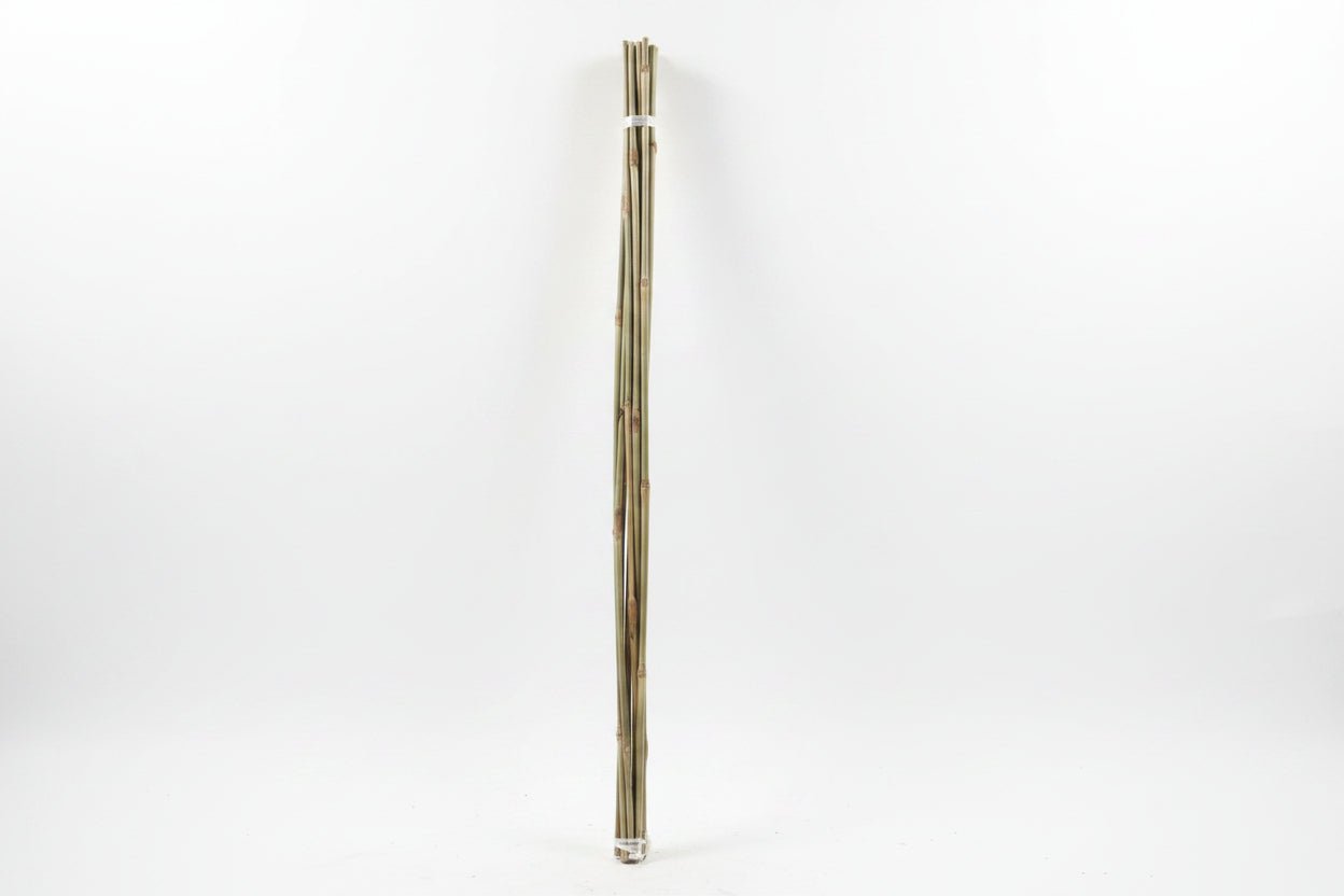 Bamboo Garden Canes 600mm & 900mm – Natural Plant Support Stakes 8/10mm Pack of - Oldboy&