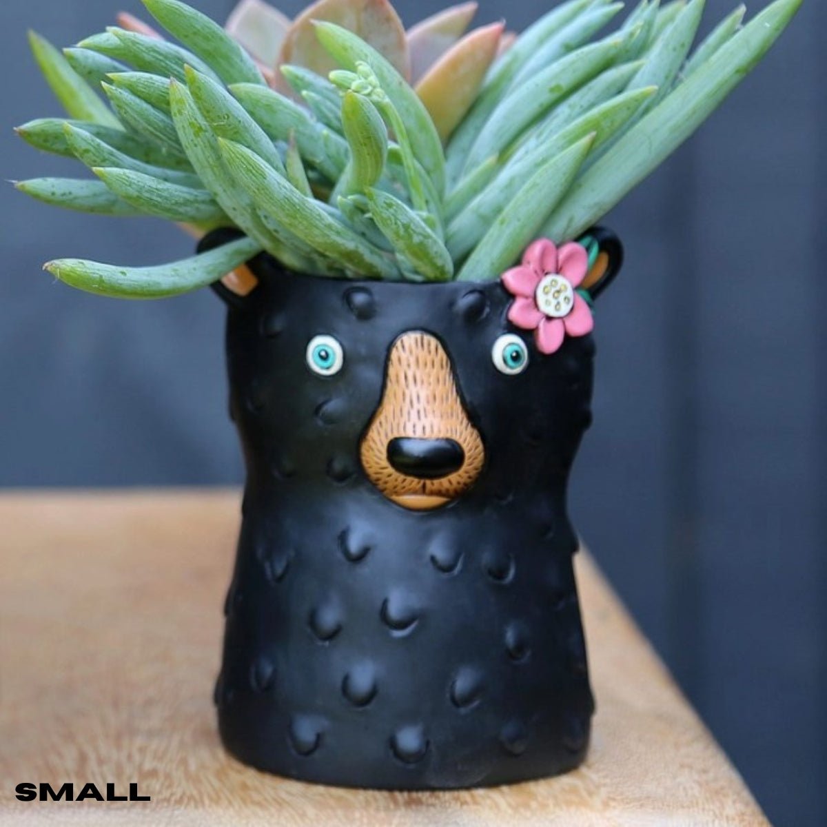 Black Bear Plant Pot – Cute Animal Planter for Indoor & Outdoor Decor - Oldboy&