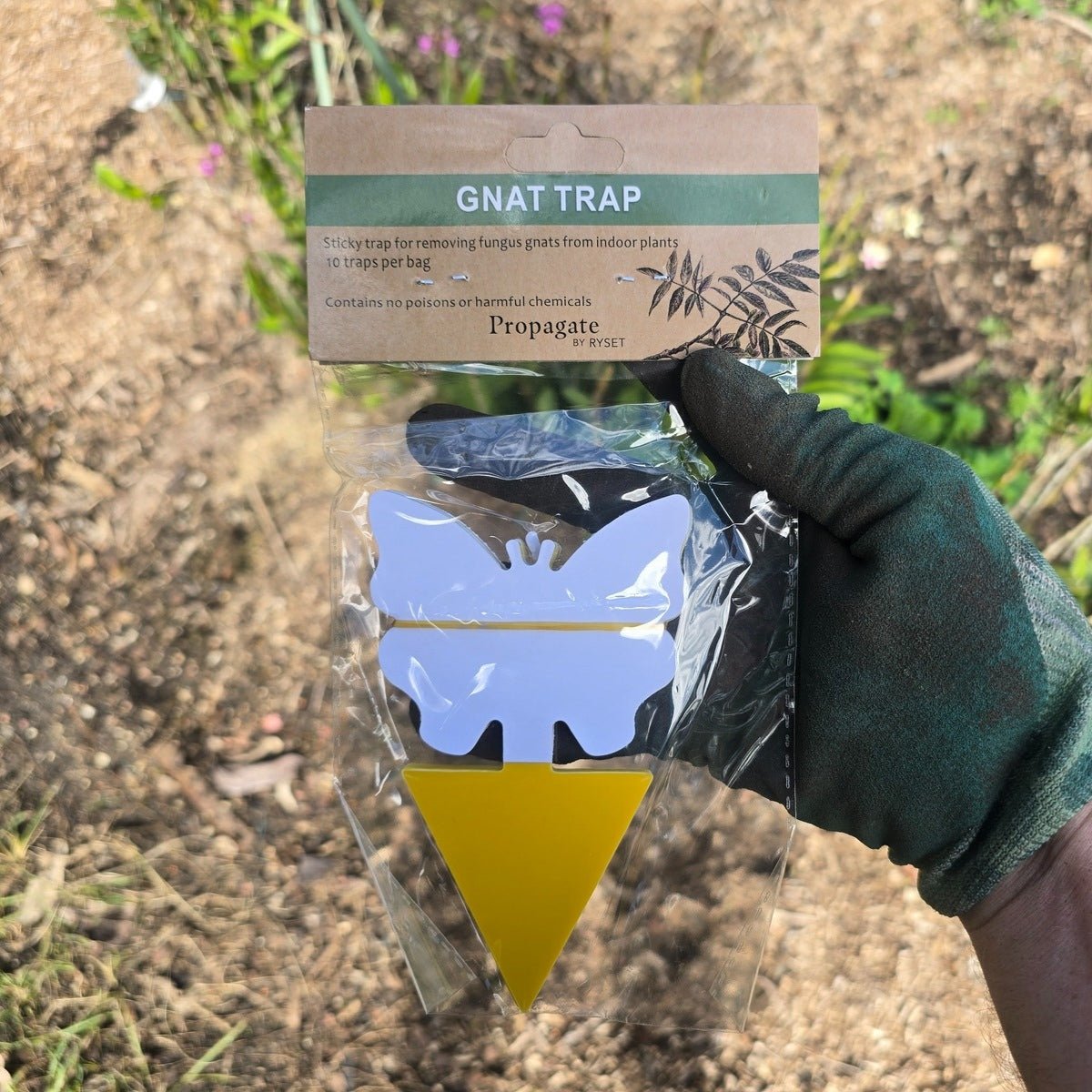 Butterfly - Shaped Gnat Traps – 10 - Pack Non - Toxic Pest Control for Indoor Plants - Oldboy&