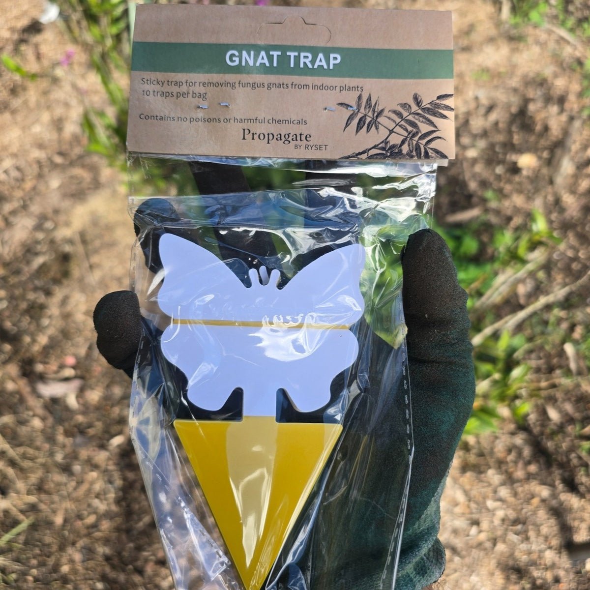 Butterfly - Shaped Gnat Traps – 10 - Pack Non - Toxic Pest Control for Indoor Plants - Oldboy&