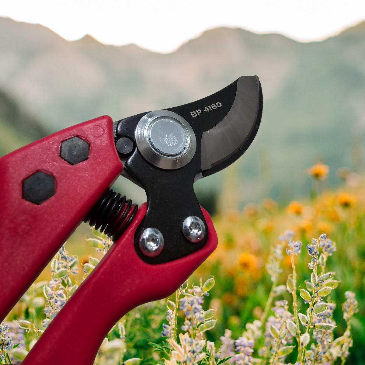 Corona Branch & Stem Pruner - Oldboy&