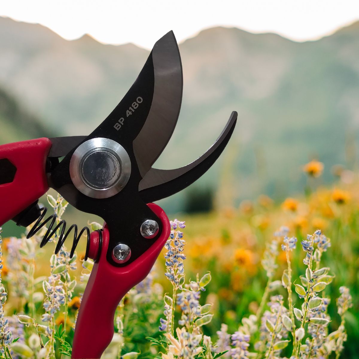 Corona Branch & Stem Pruner - Oldboy&
