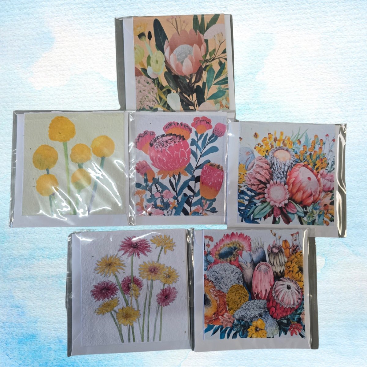 Custom Plantable Greeting Cards – With Swan River Daisy Seeds - Oldboy&