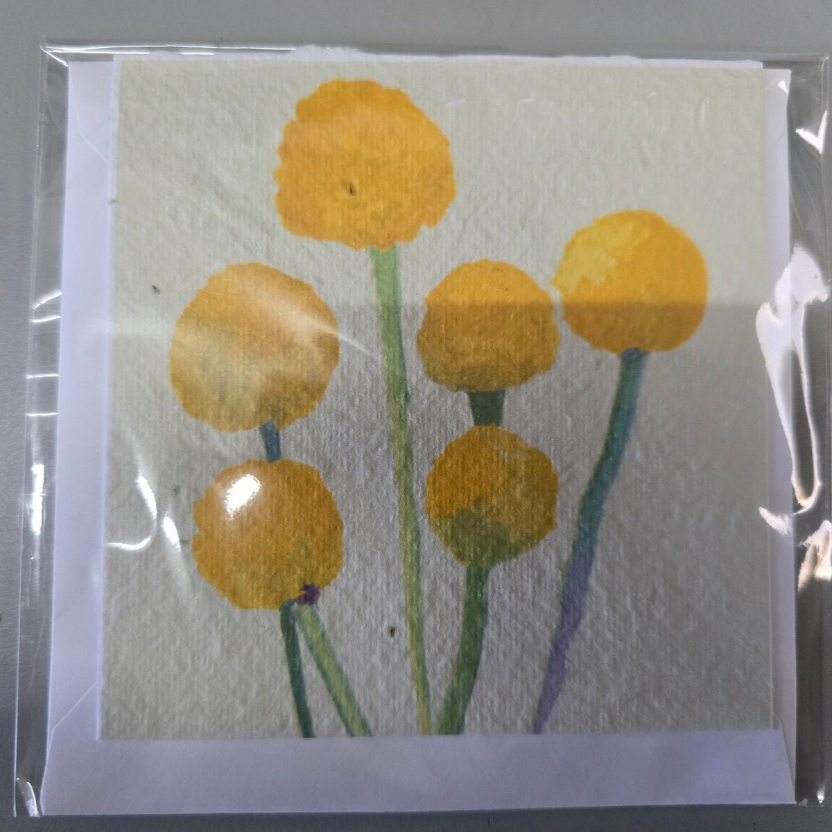 Custom Plantable Greeting Cards – With Swan River Daisy Seeds - Oldboy&