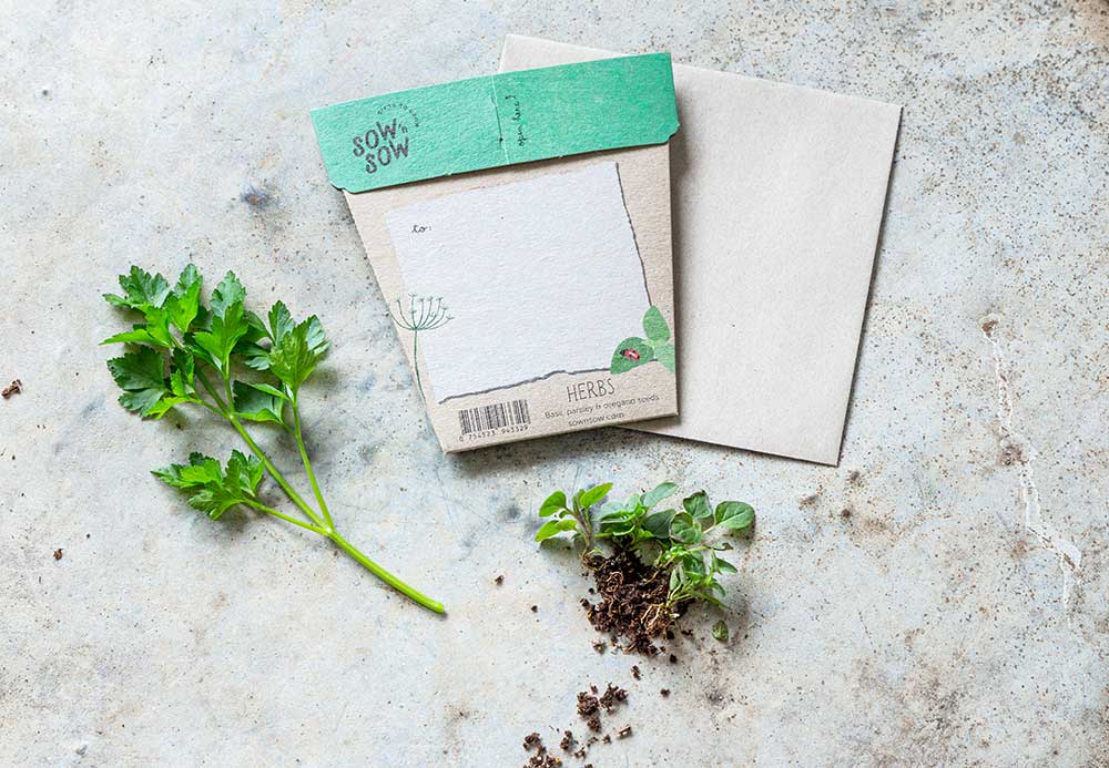 Garden Herbs Gift of Seeds โ Basil, Parsley & Oregano for Foodies ๐ฑ๐ - Oldboy&