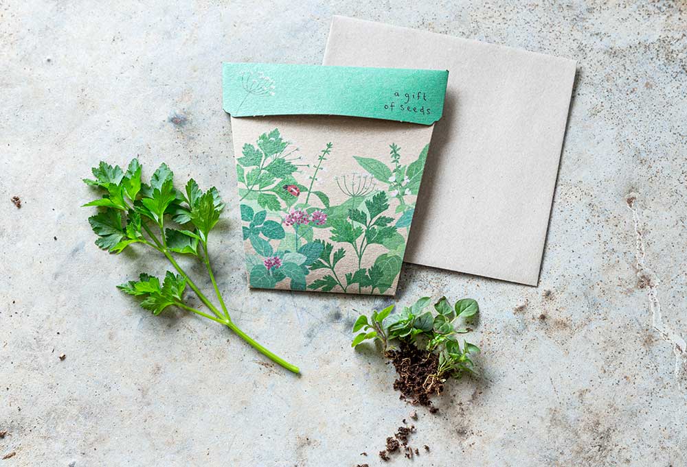 Garden Herbs Gift of Seeds โ Basil, Parsley & Oregano for Foodies ๐ฑ๐ - Oldboy&