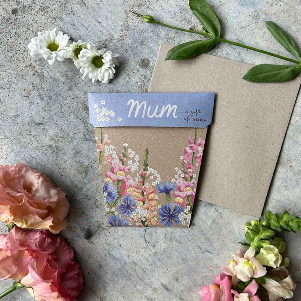Mum Gift of Seeds – Blooming Posy of Love 💐🌿 - Oldboy&