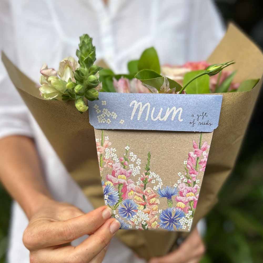 Mum Gift of Seeds – Blooming Posy of Love 💐🌿 - Oldboy&