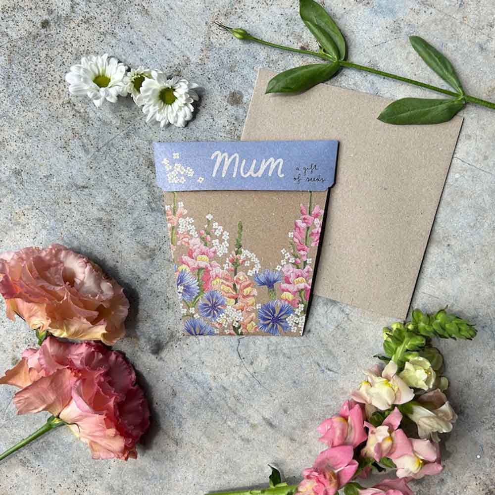 Mum Gift of Seeds – Blooming Posy of Love 💐🌿 - Oldboy&