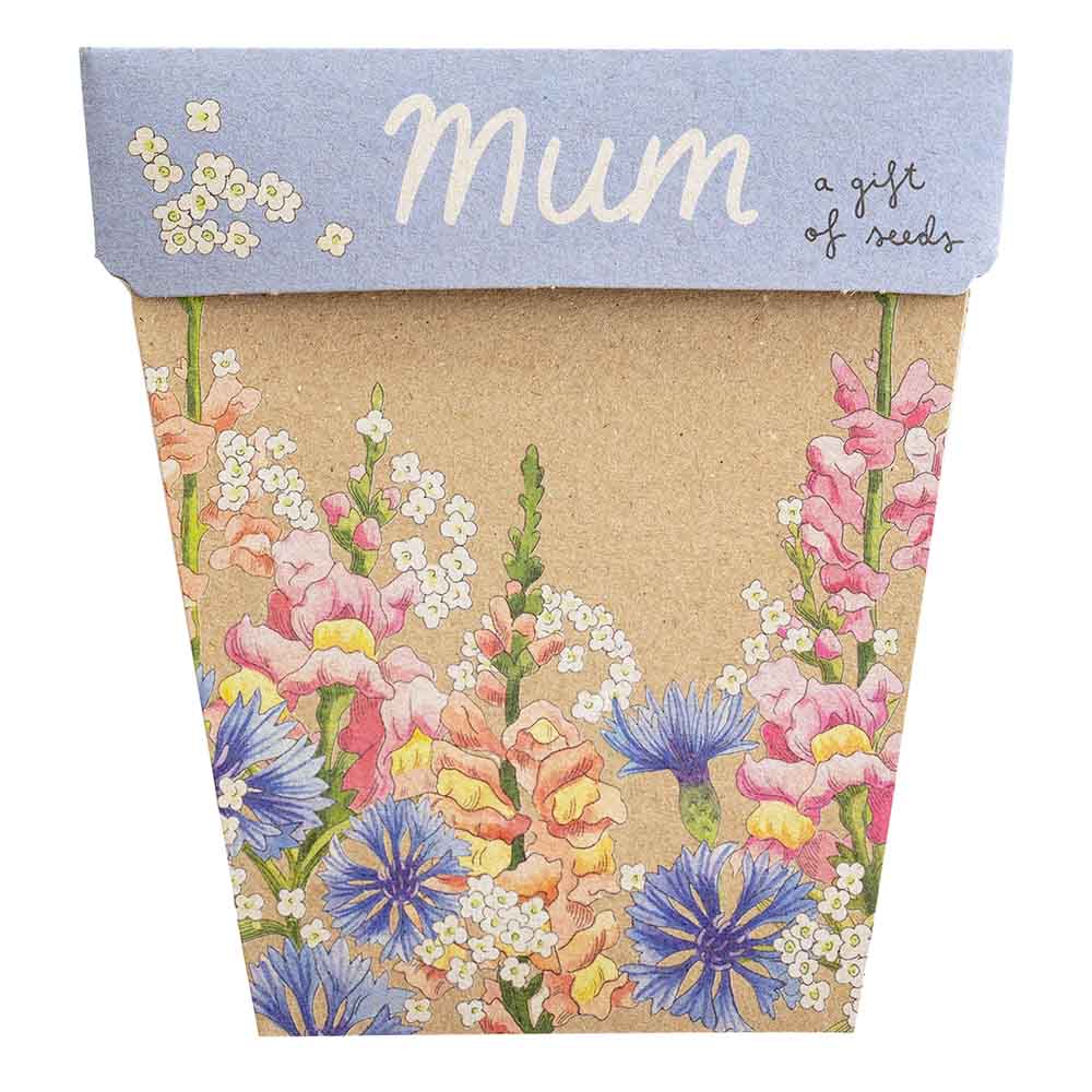 Mum Gift of Seeds – Blooming Posy of Love 💐🌿 - Oldboy&
