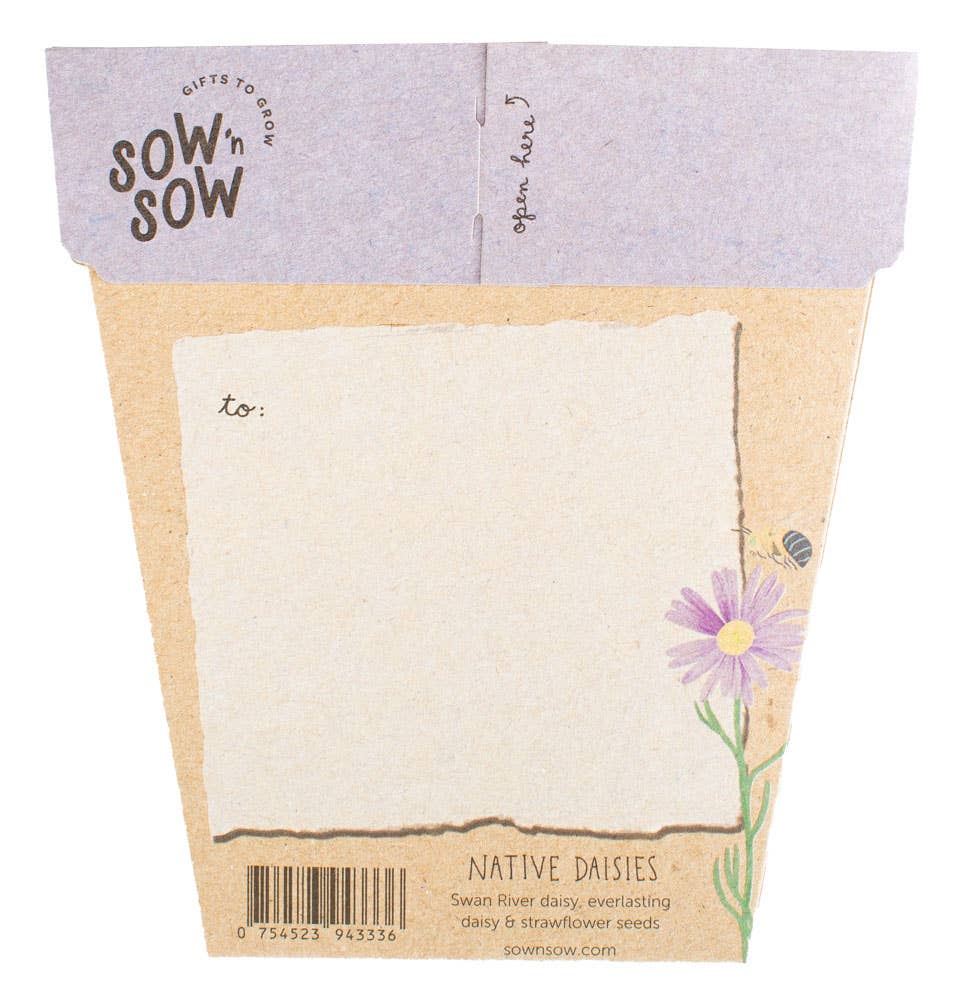 Native Daisies Gift of Seeds – Aussie Blooms for Every Occasion - Oldboy&