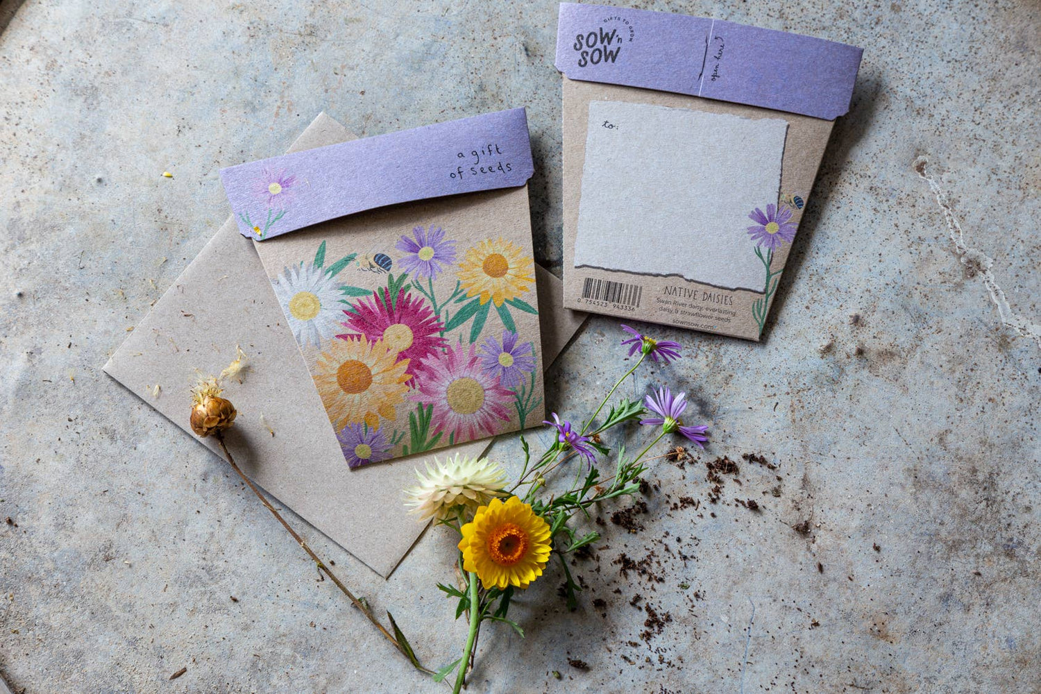 Native Daisies Gift of Seeds – Aussie Blooms for Every Occasion - Oldboy&