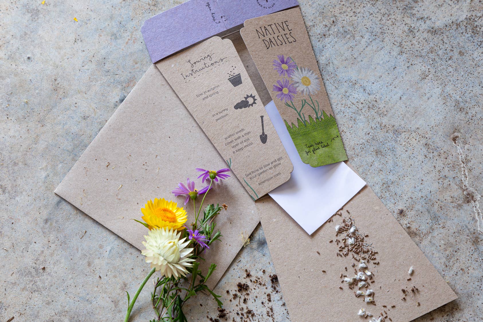 Native Daisies Gift of Seeds – Aussie Blooms for Every Occasion - Oldboy&