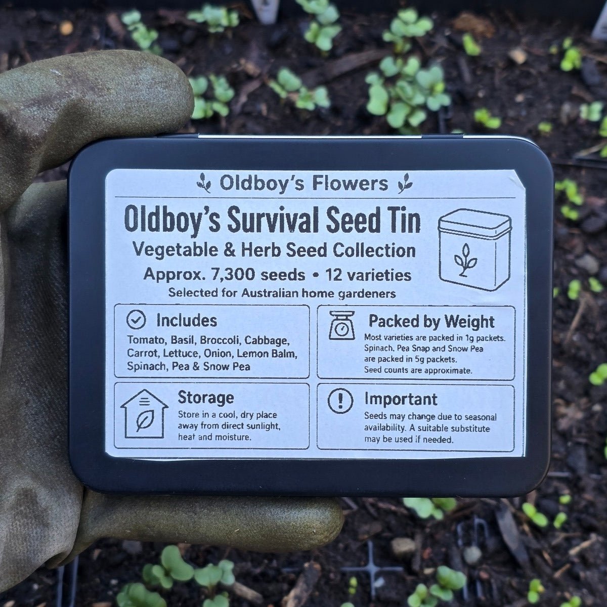 Oldboy’s Survival Seed Tin – Vegetable & Herb Growing Kit - Oldboy&