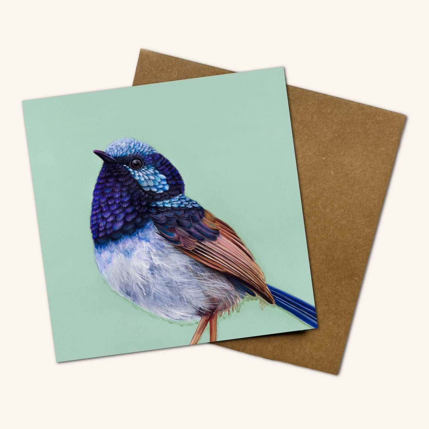 Pip the Superb Fairy Wren Greeting Card - Oldboy&