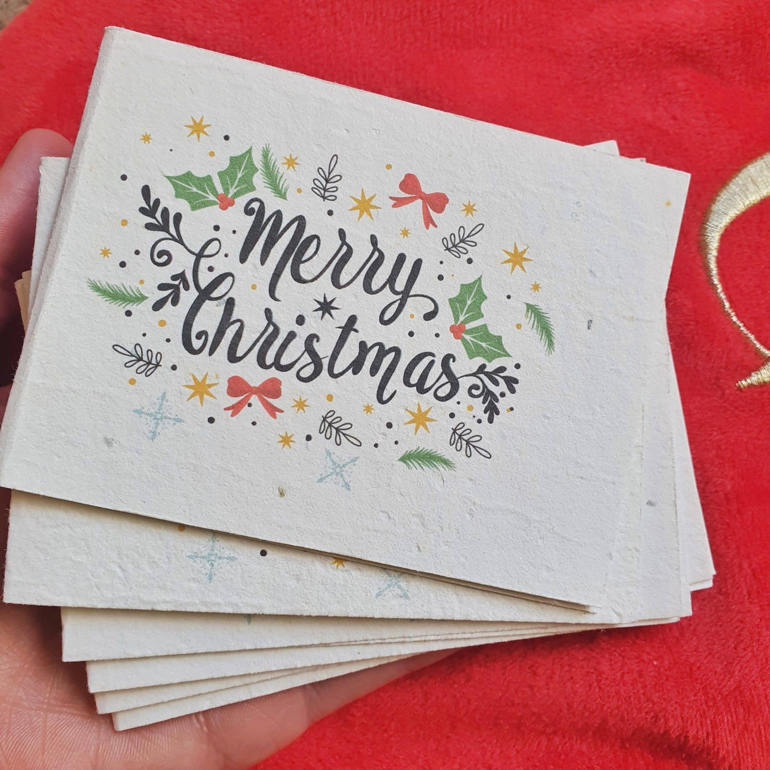 Plantable Christmas Mini Cards 3 pack - Oldboy&