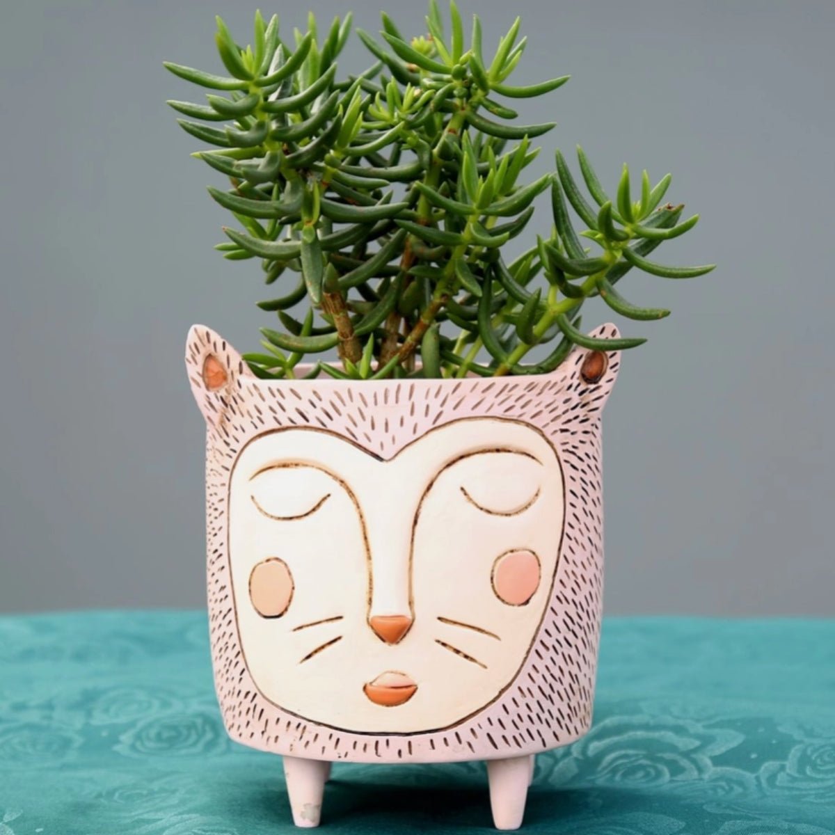 Purrs Cat Planter - Hand - Painted Polyresin Cat Planter with Drainage - Oldboy&