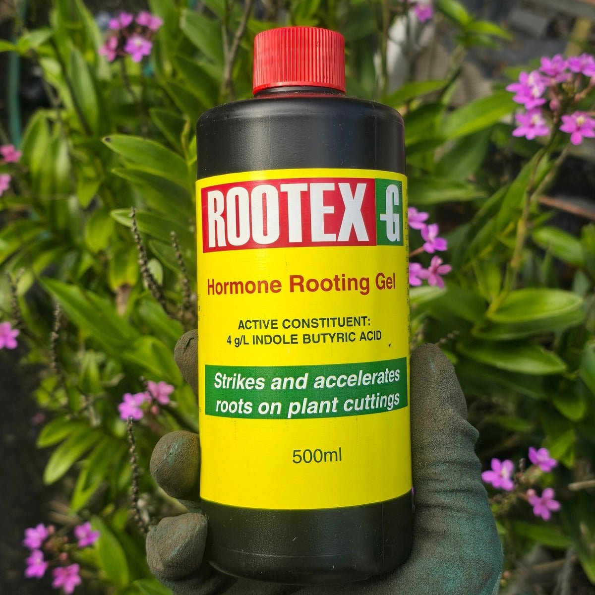 Rootex - G Cutting Gel – Available in 50ml & 500ml - Oldboy&