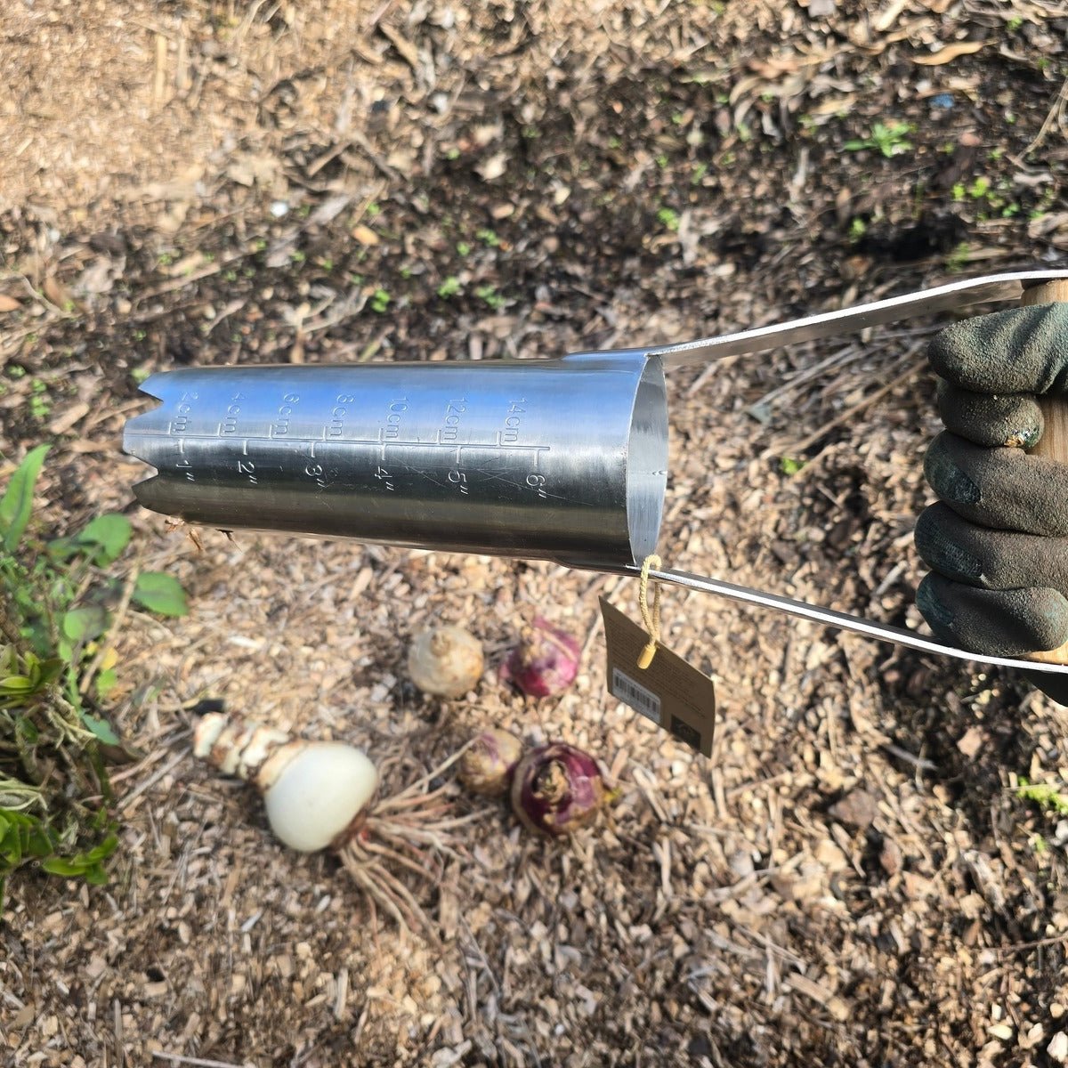 Ryset Ashwood Large Bulb Planter - Oldboy&