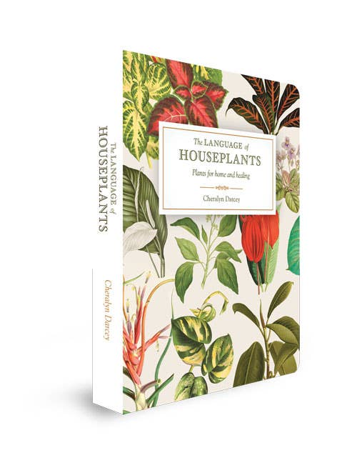 The Language of Houseplants - Oldboy&
