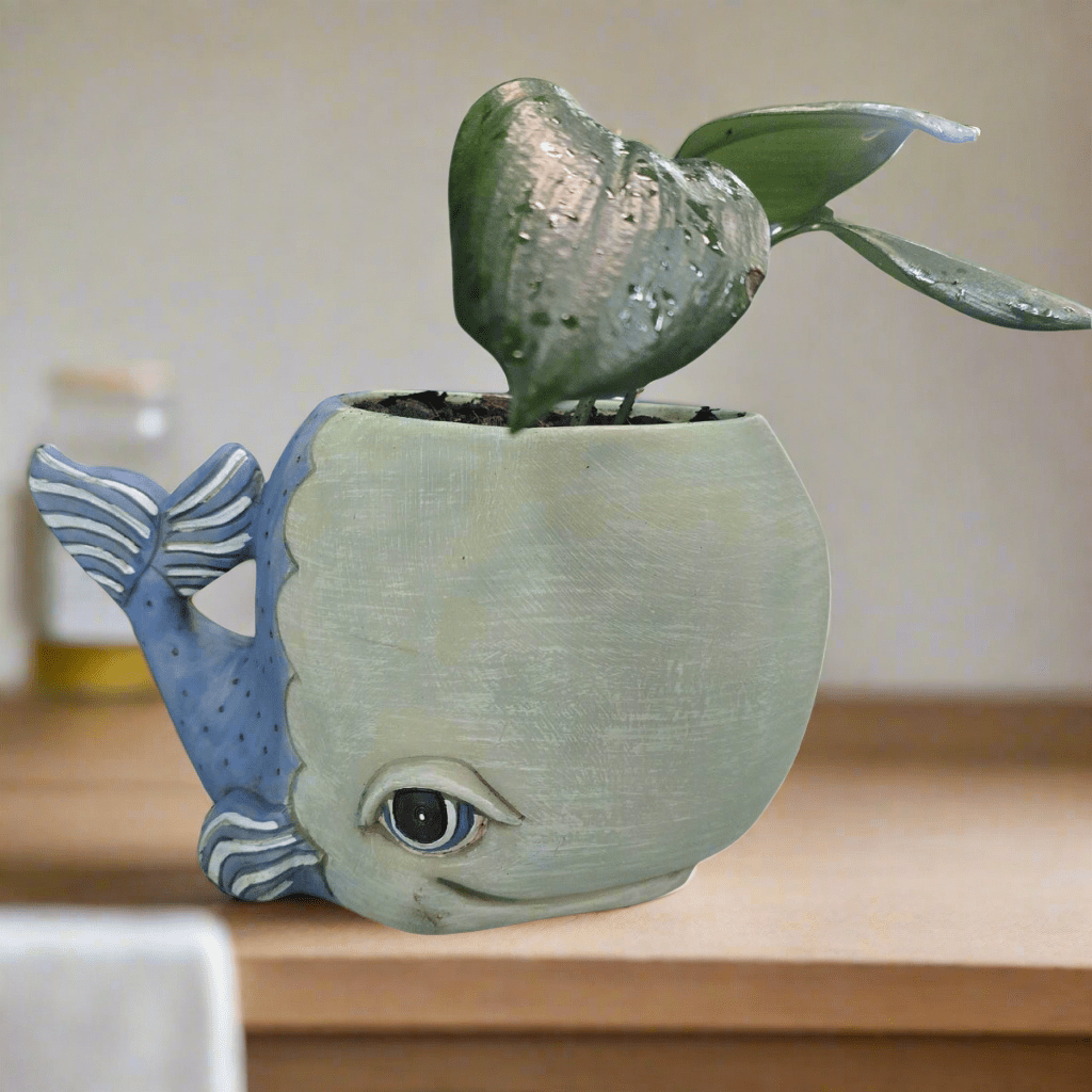 Whale Planter | Hand - Painted Polyresin Ocean - Inspired Planter with Drainage - Oldboy&