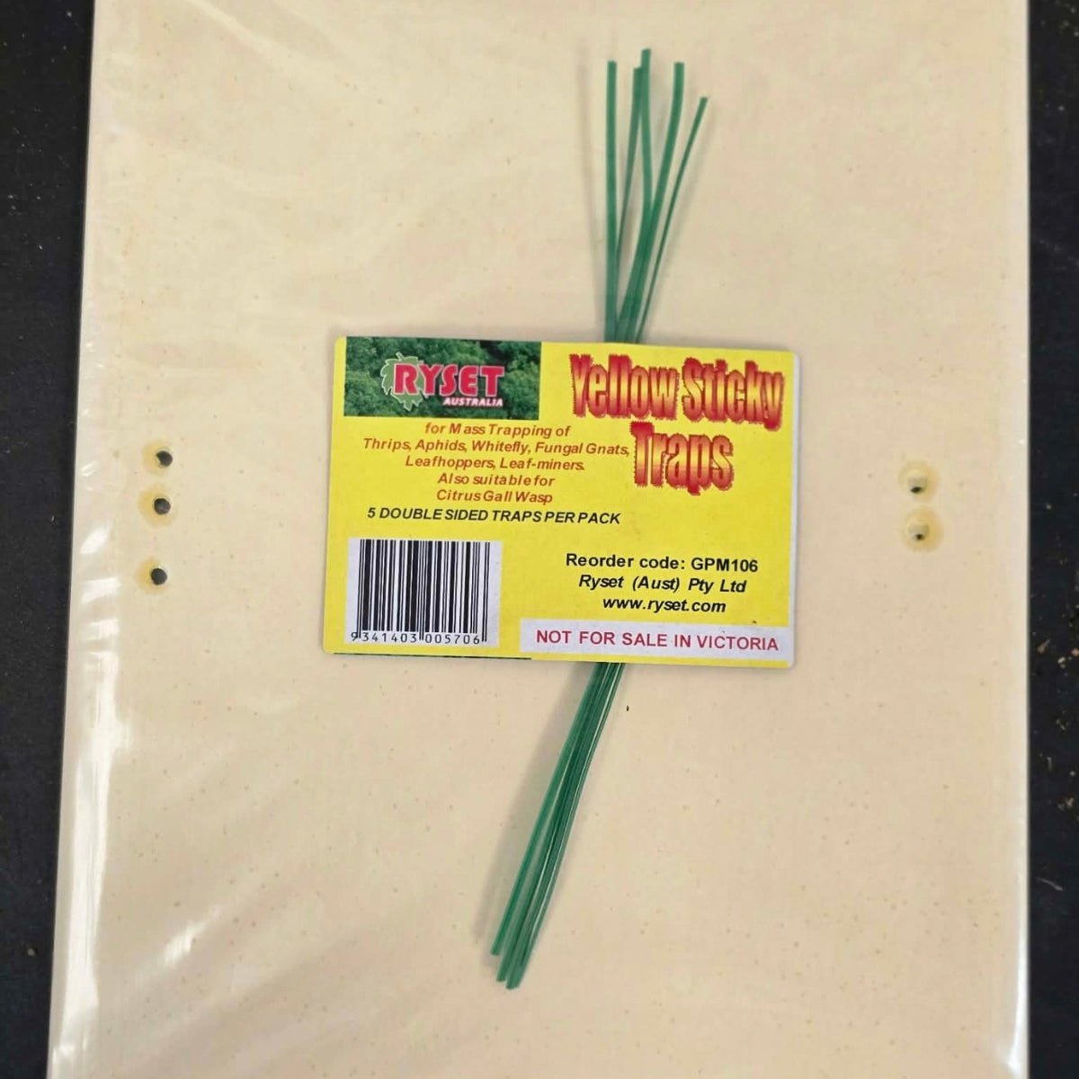 Yellow Sticky Insect Traps | Pack of 5 or Bulk Pack of 20 - Oldboy&