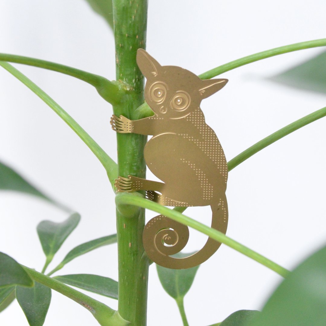 hanging animals for plants Plant Animal Bush Baby – Brass Hanging Plant Accessory – Oldboy's Flowers