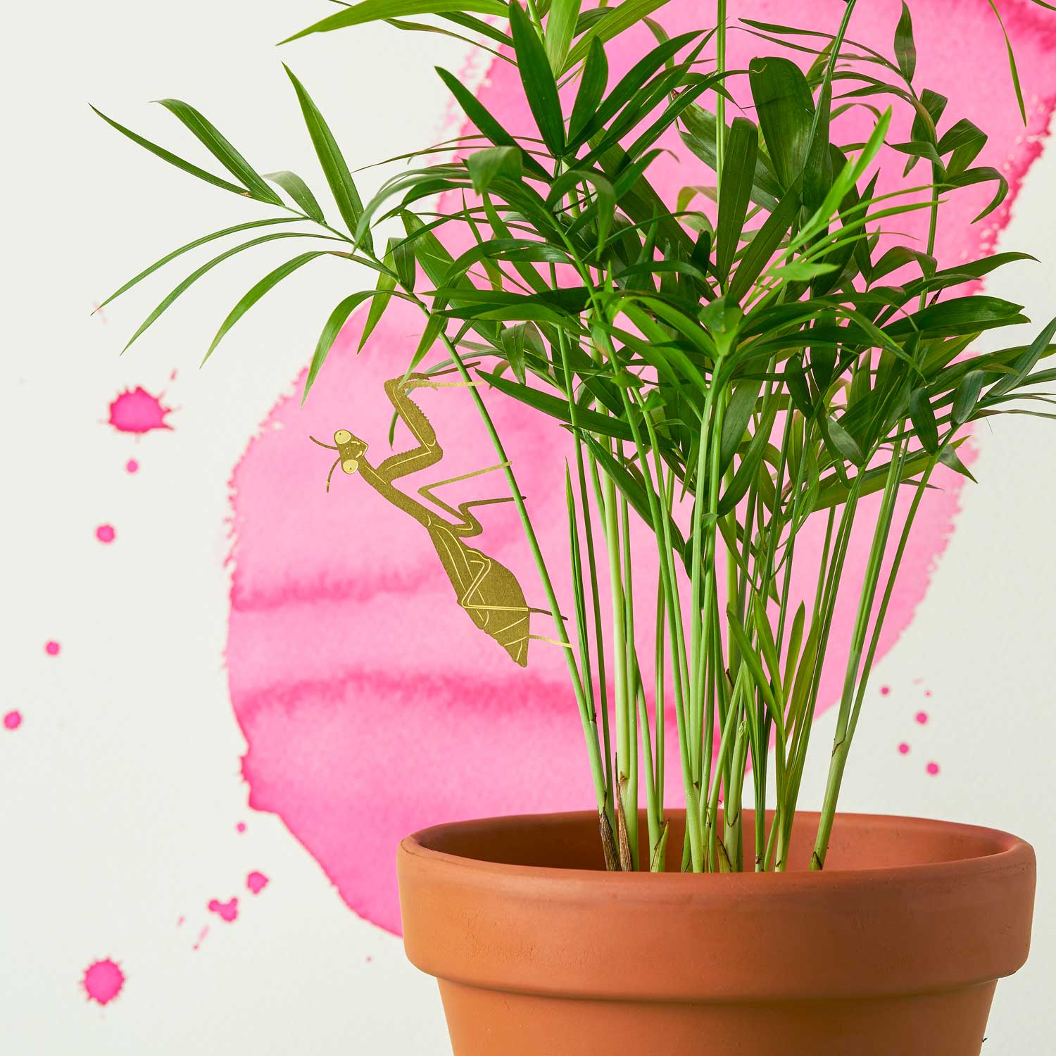 Plant Animal - Praying Mantis, insect plant decoration - Oldboy&