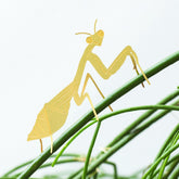 Plant Animal - Praying Mantis, insect plant decoration - Oldboy&