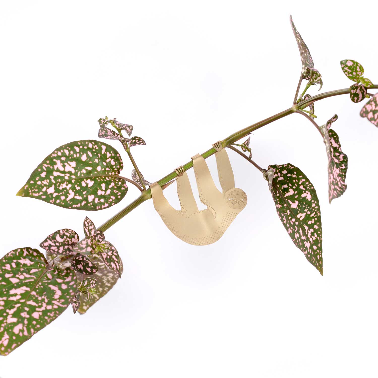 Plant Animal - Sloth, cute houseplant gift - Oldboy&