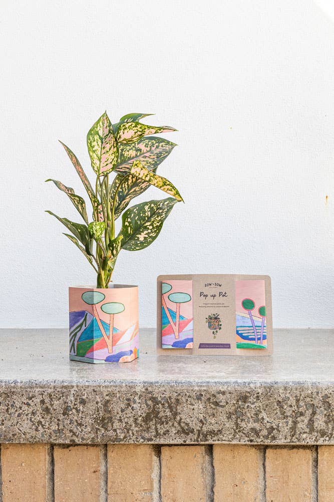 Pop Up Pot &