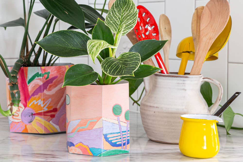 Pop Up Pot &