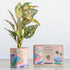 Pop Up Pot &