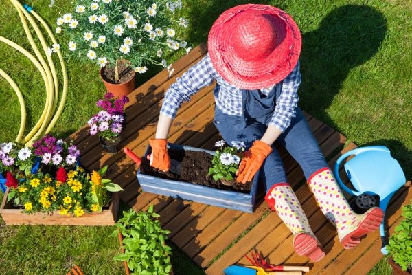 Mastering Sedum Care: A Comprehensive Guide for Gardeners - Oldboy's Flowers