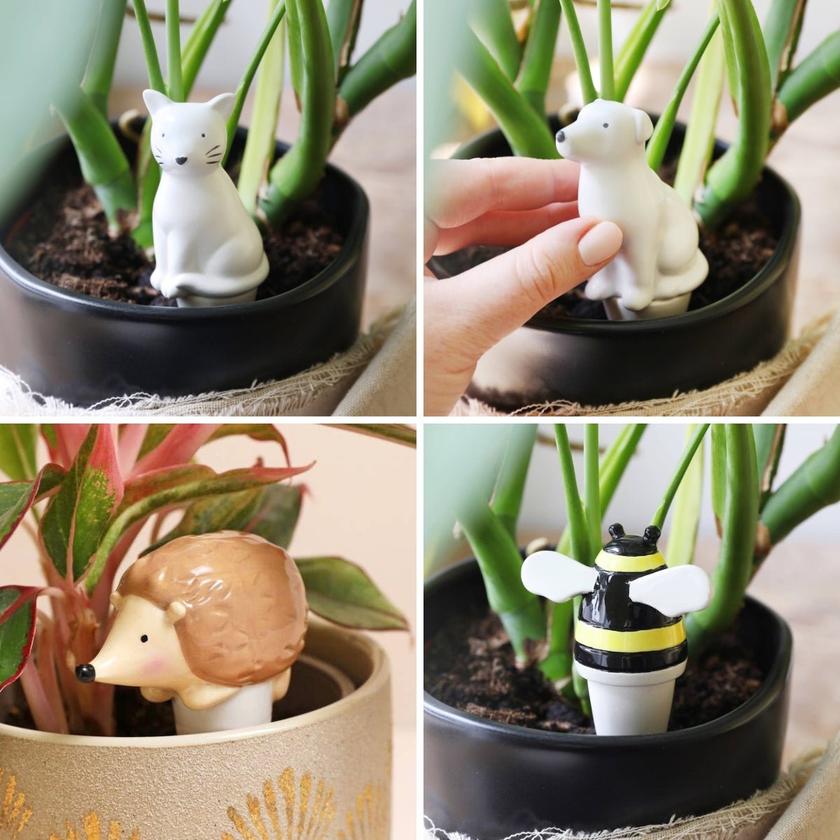 Animal Plant Watering Spikes - Oldboy&