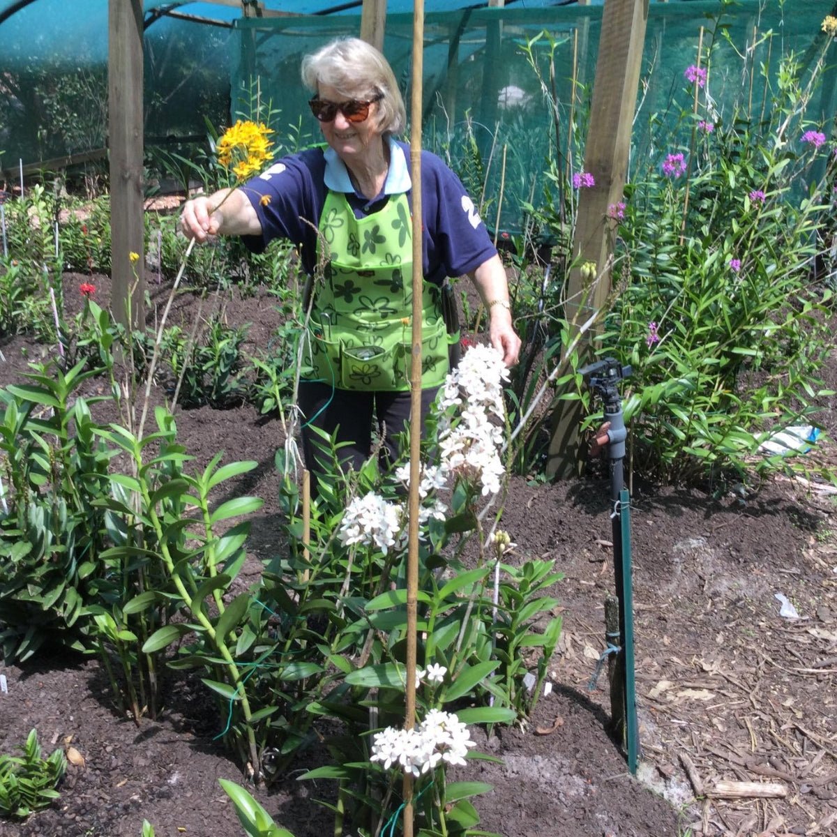 Garden Wear - Oldboy's Flowers