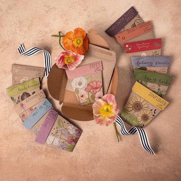 Sow 'n Sow Gift of Seeds Collection | Unique Garden Gift - Oldboy's Flowers