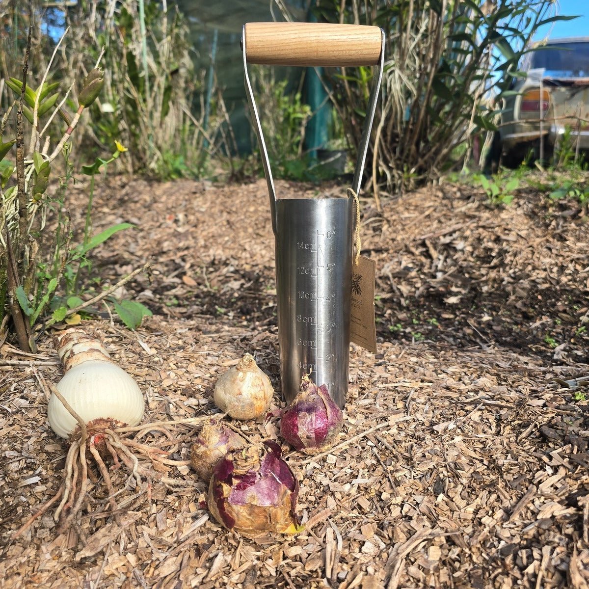 Spring Flowering Bulbs - Pre-Order - Oldboy's Flowers