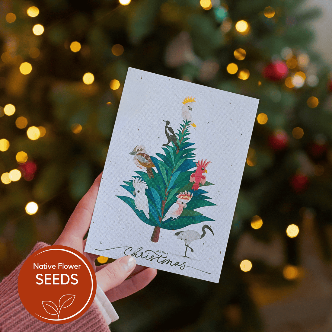 Plantable Christmas Native Bird Card – Bottlebrush Seed Paper with Recycled Envelope