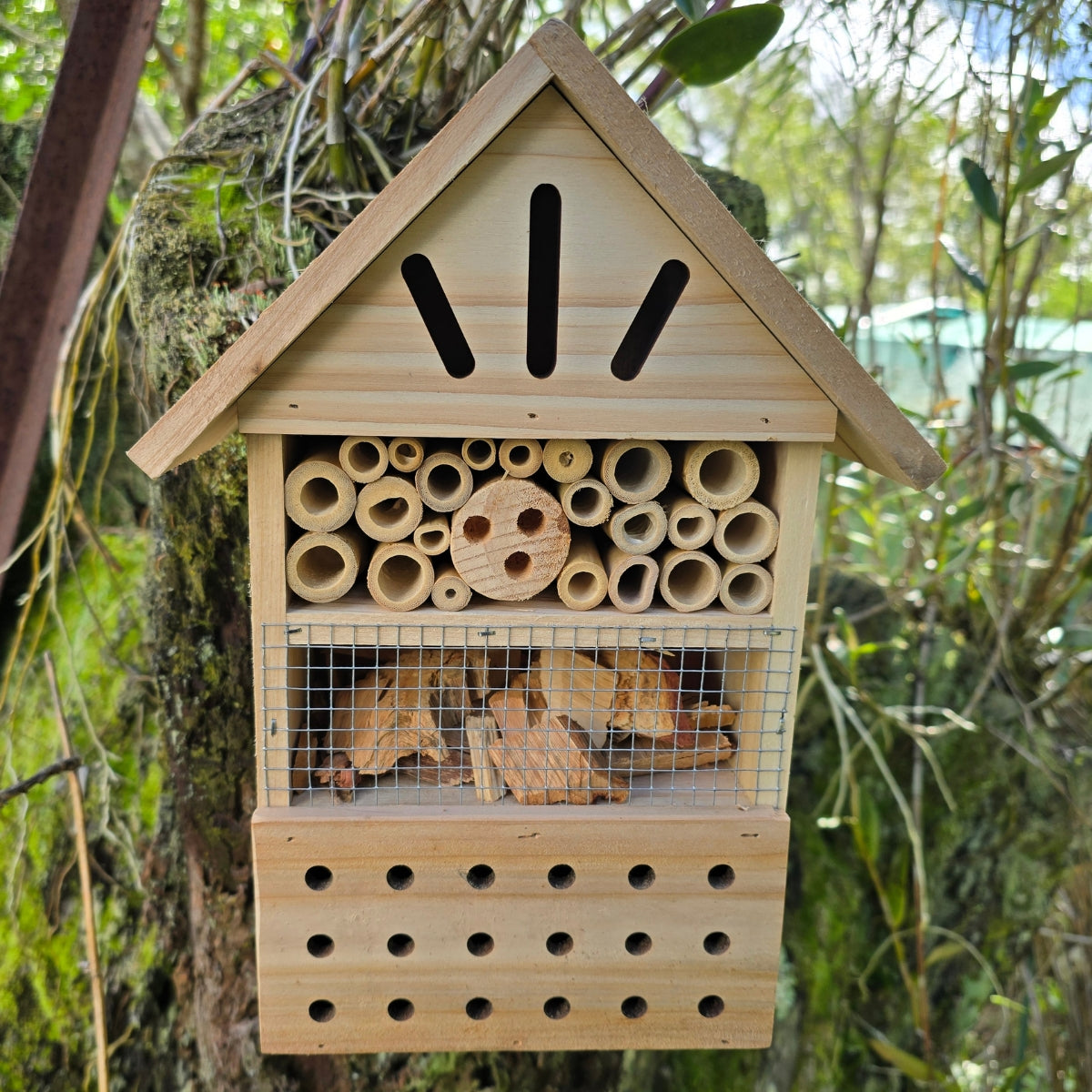 Medium Insect Hotel – FSC Natural Pine Beneficial Bug House