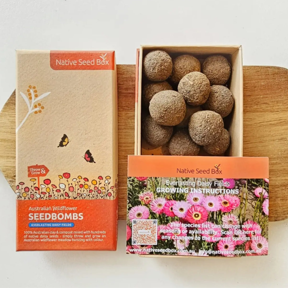 Australian Everlasting Daisy Seed Bomb