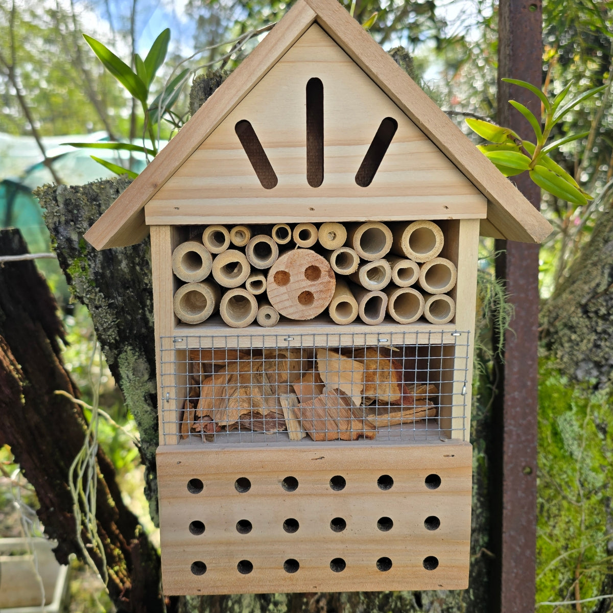 Medium Insect Hotel – FSC Natural Pine Beneficial Bug House