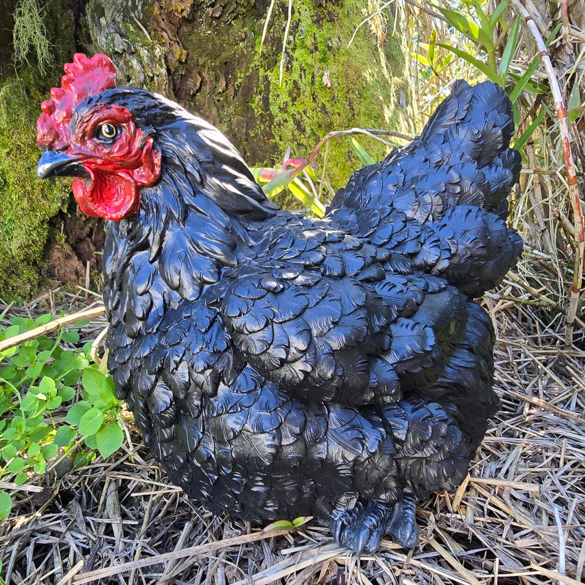 Black Chicken Hen Garden Ornament - 26cm