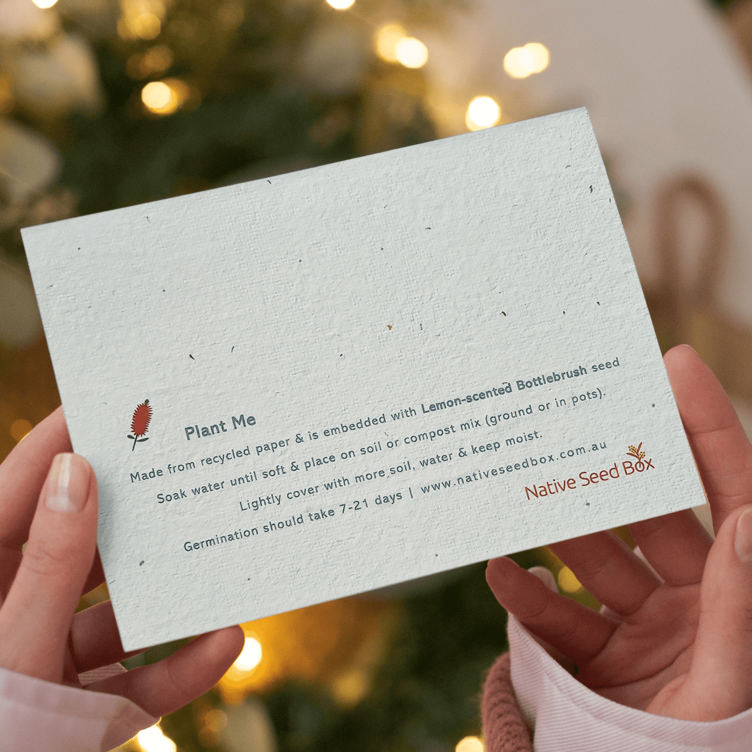 Plantable Christmas Eucalypt Bouquet Card – Bottlebrush Seed Paper with Recycled Envelope