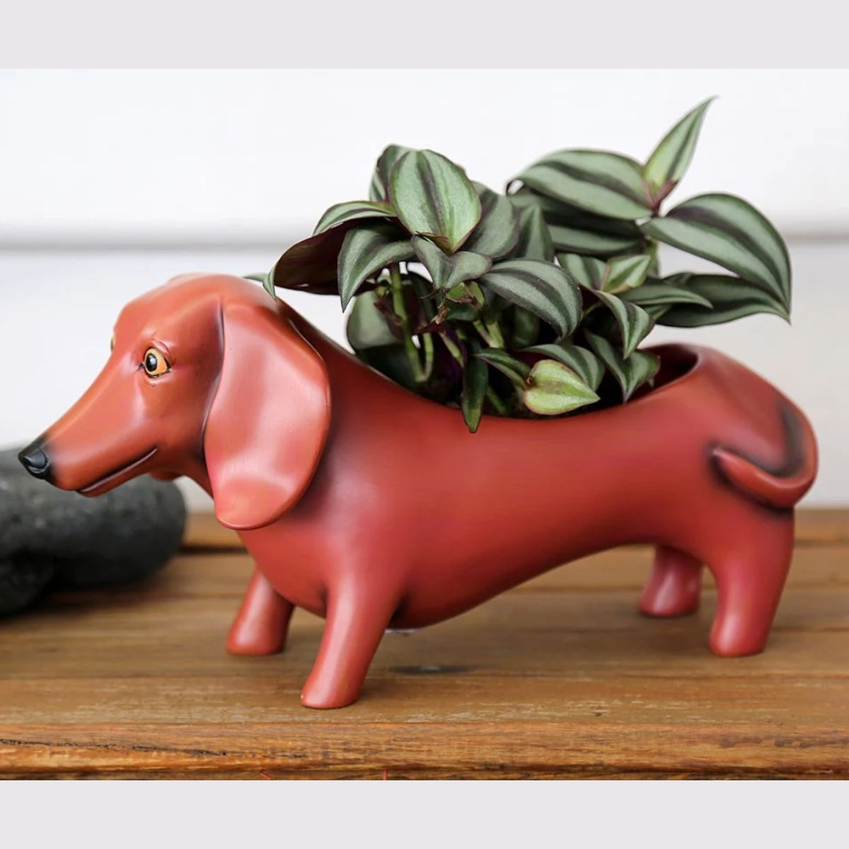 Oscar Planter | Decorative Plant Pot by Allen Designs